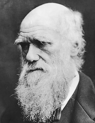 darwin darwin